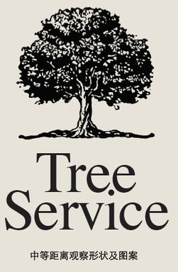 平面設計入門 如何為你的圖片選擇完美的英文字體搭配